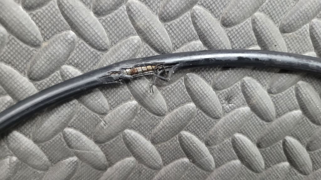 Aftermarket Twist Throttle With Grips and Cable *USED* Parts - Used