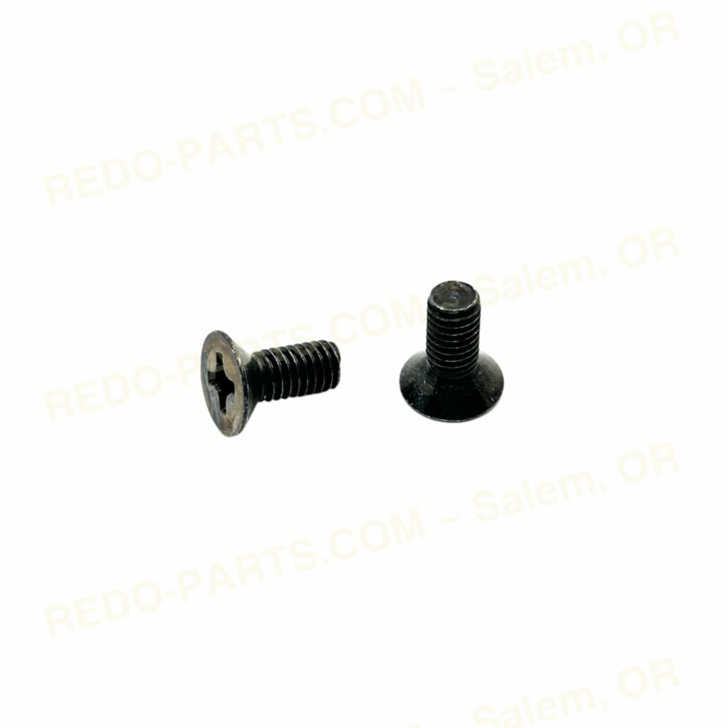 Factory OEM Shift Drum Retainer Screws Flat Head 2 pc *NEW* Parts - New