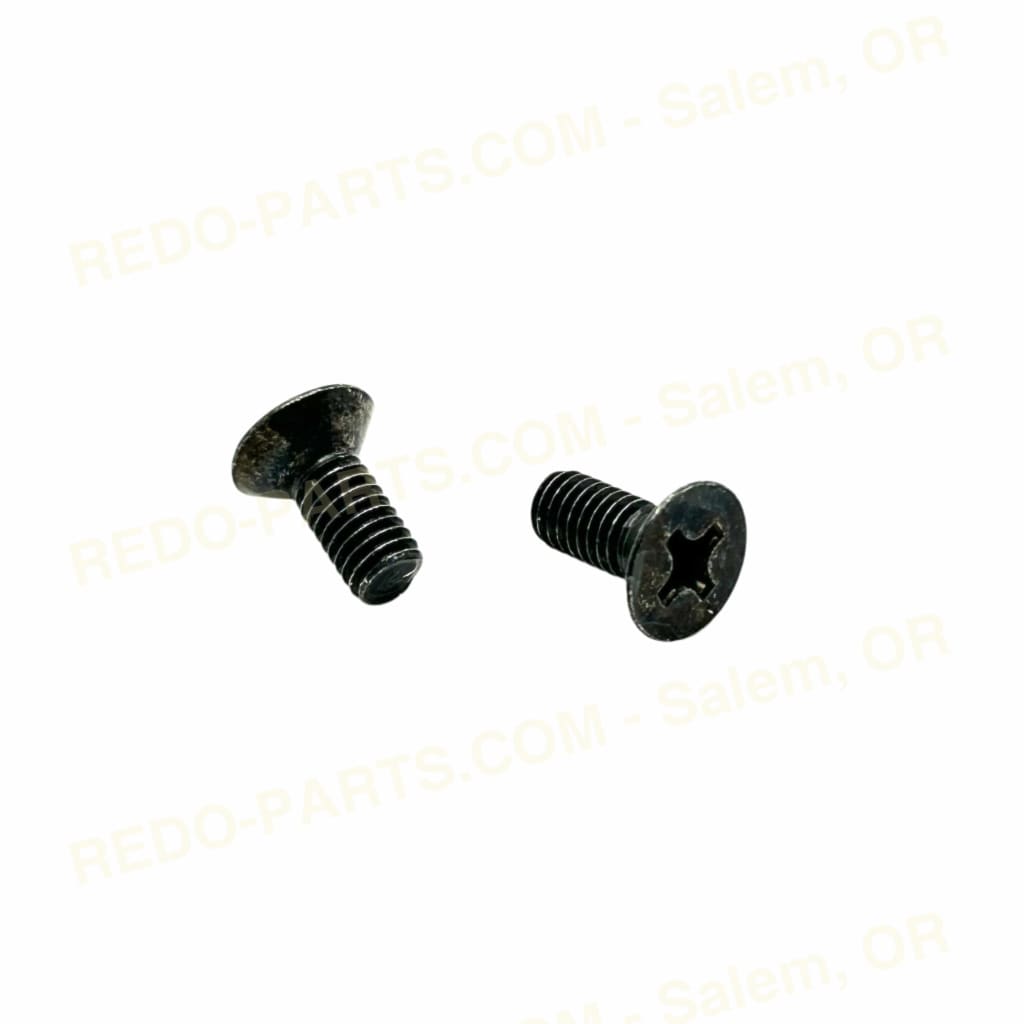 Factory OEM Shift Drum Retainer Screws Flat Head 2 pc *NEW* Parts - New
