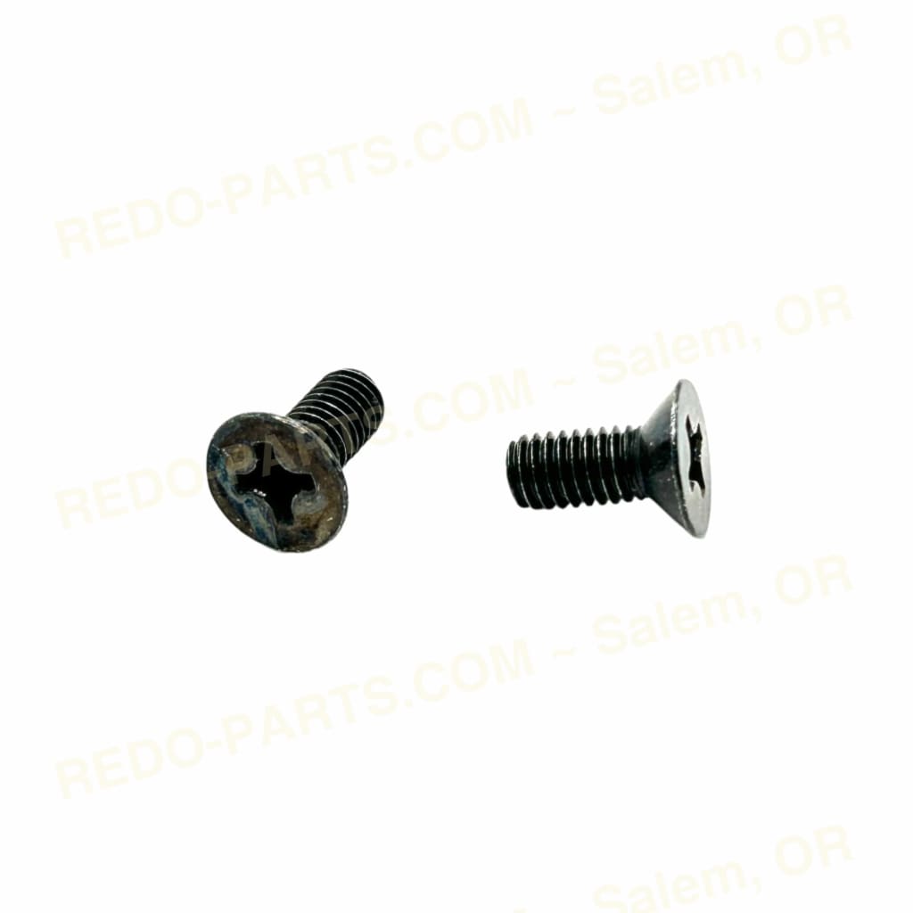 Factory OEM Shift Drum Retainer Screws Flat Head 2 pc *NEW* Parts - New
