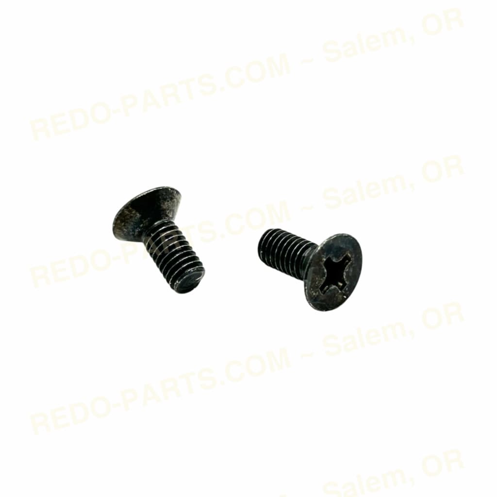 Factory OEM Shift Drum Retainer Screws Flat Head 2 pc *NEW* Parts - New