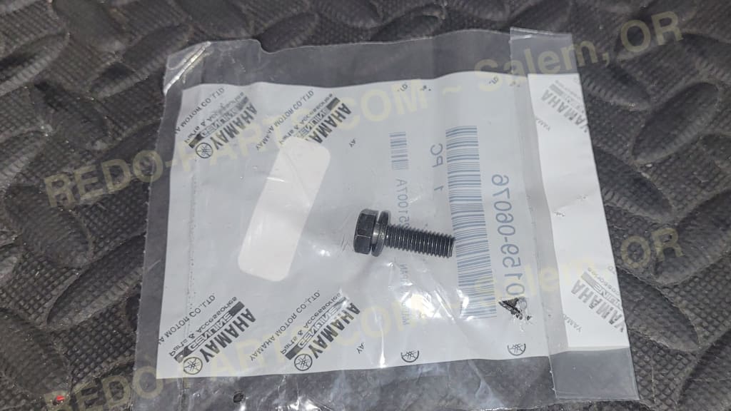 Factory OEM Stator Plate Bolt *NEW* - Parts - New
