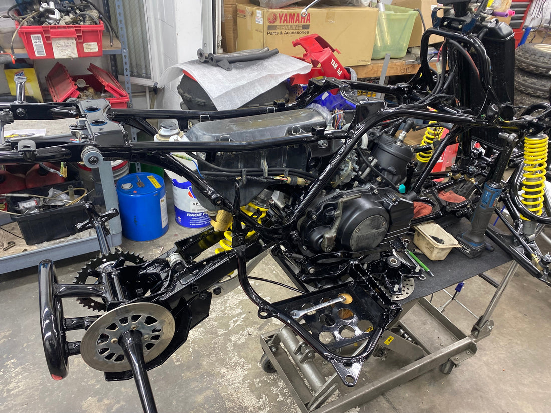 Tre's Tennessee Revival Banshee