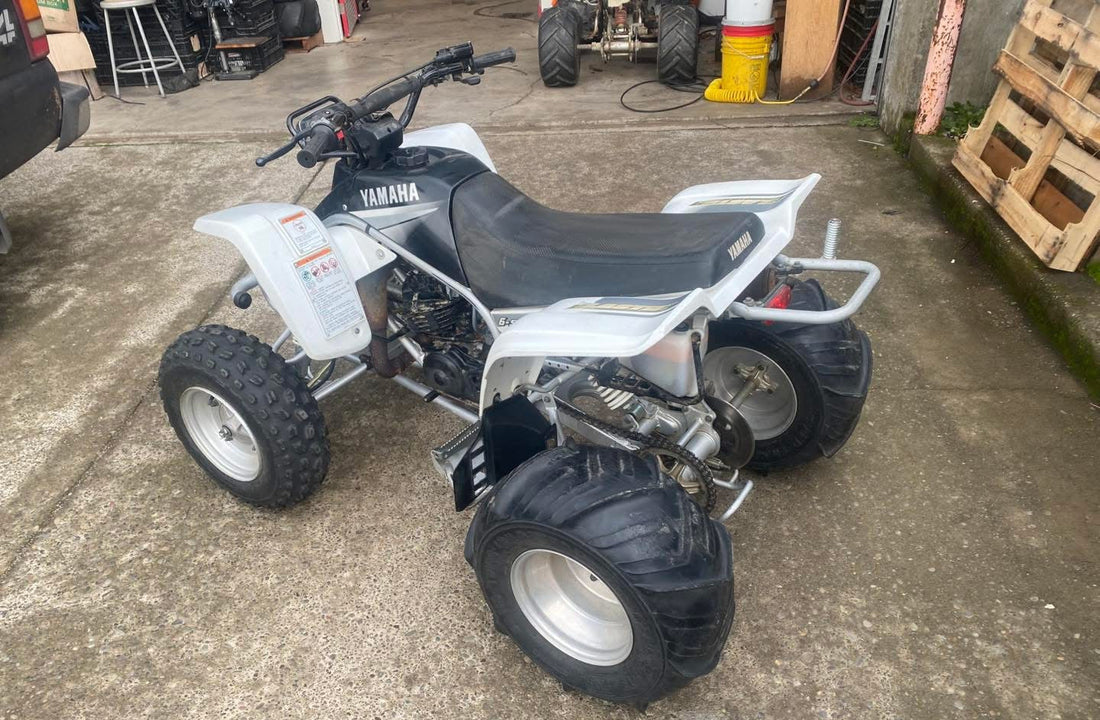 2001 Blaster Top End Rebuild