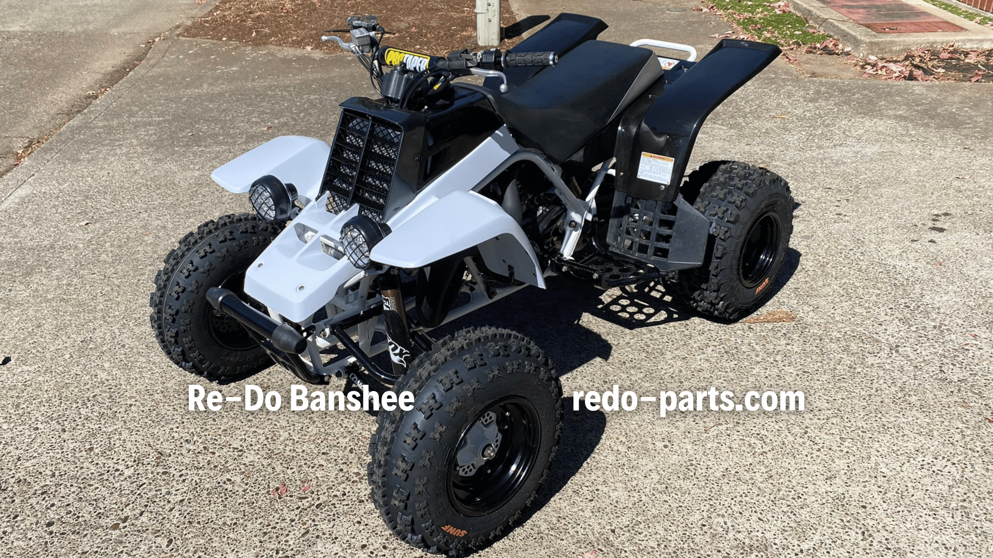 Back Banshee Nick's Black & White Banshee Build – Re-Do Banshee