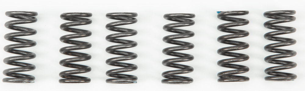 EBC Clutch Springs, Includes 6, Heavy Duty *NEW*