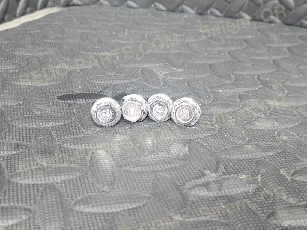 Factory OEM Grab Bar Bolts *CHROME**USED LIKE NEW* Parts - Used