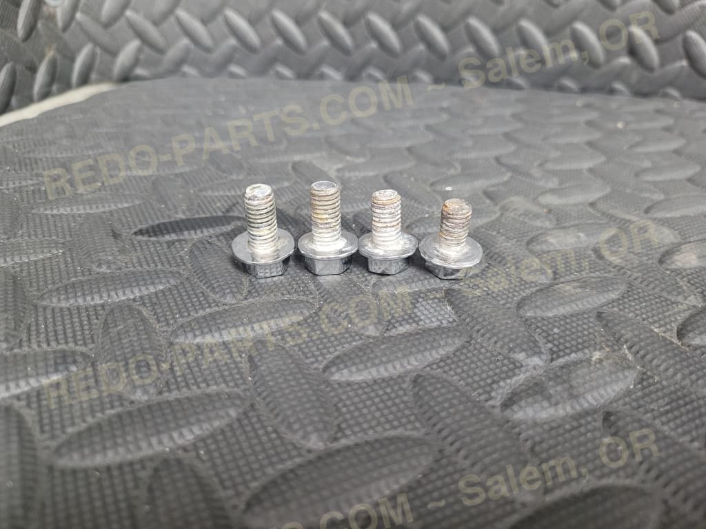 Factory OEM Grab Bar Bolts *CHROME**USED LIKE NEW* Parts - Used