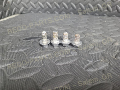 Factory OEM Grab Bar Bolts *CHROME**USED LIKE NEW* Parts - Used