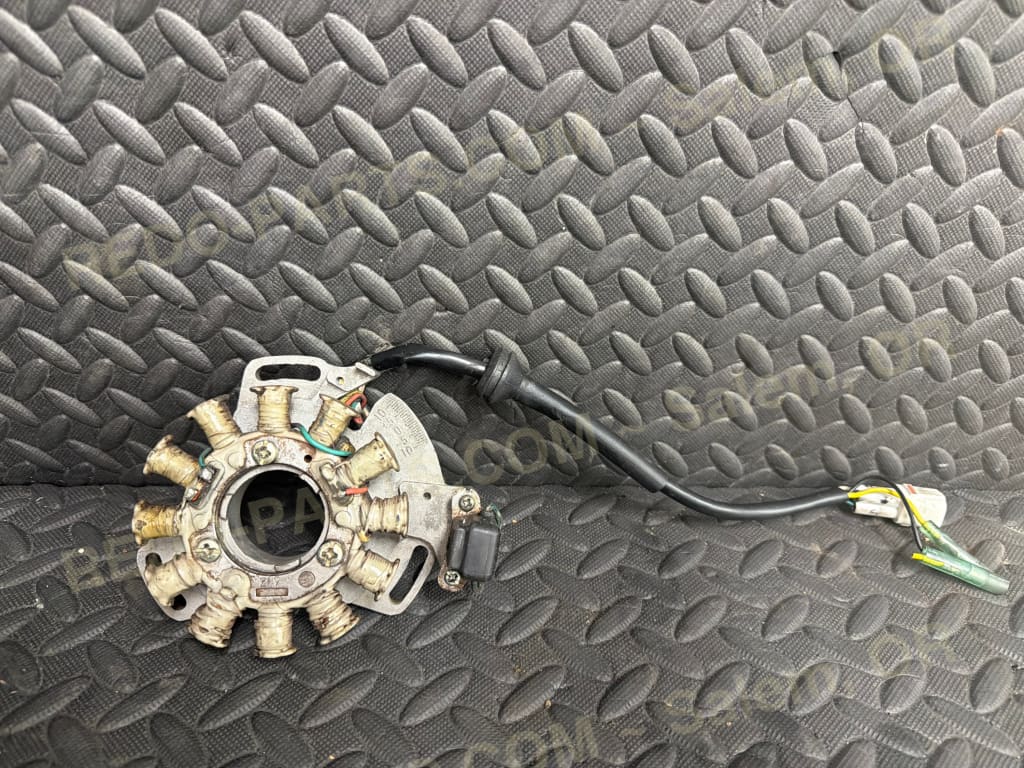 Factory OEM Stator with Adjustable Timing Plate. Square Plug. *USED*. - Parts - Used