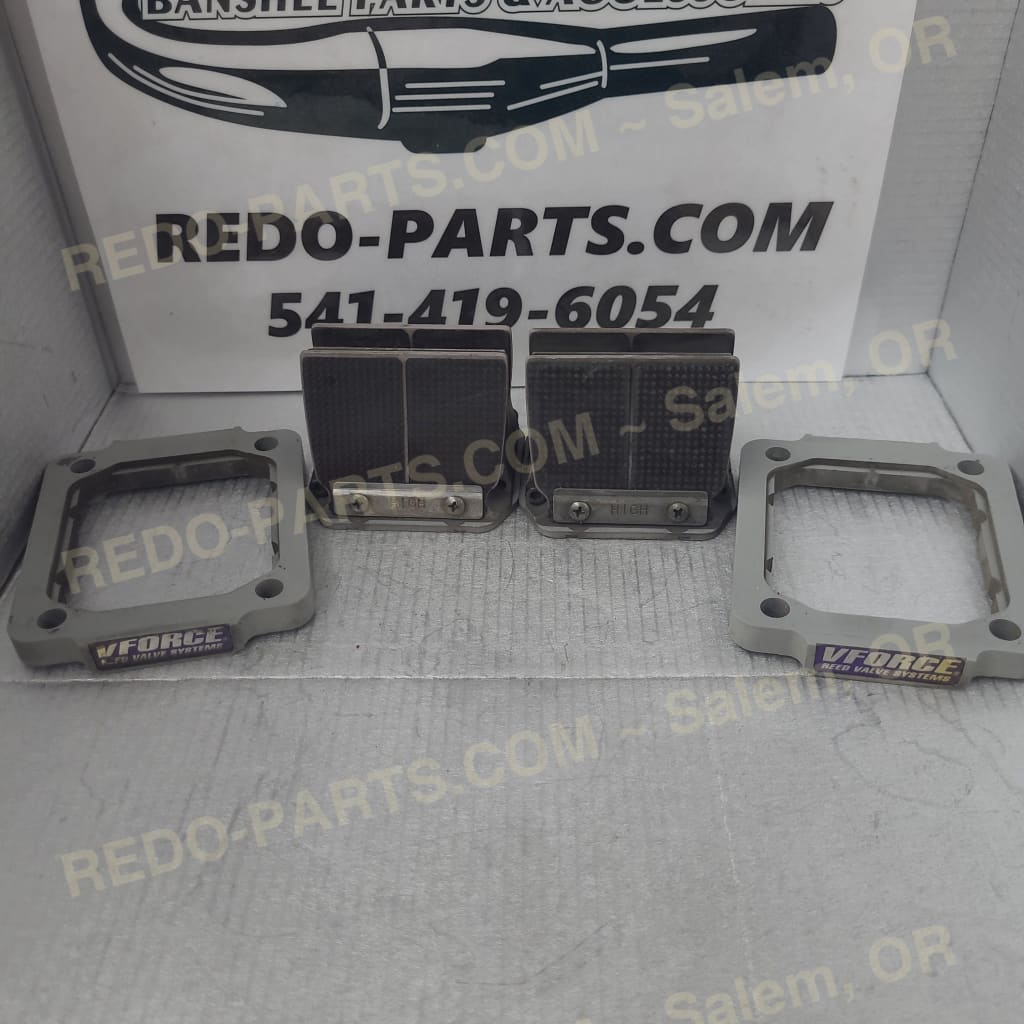 Moto Tassinari Vforce Reeds Delta 2s *USED* Parts - Used
