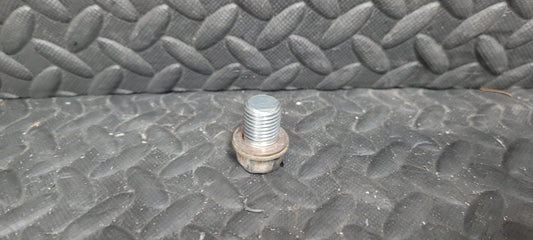 Drain Plug *USED* Stock Photo